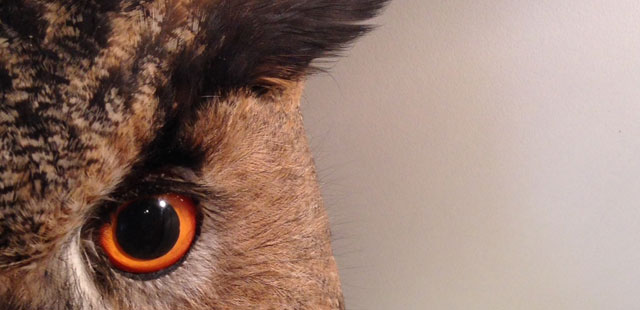 Kontakt | Erlebnisf&uuml;hrungen durch Natur und Landschaft rund um Marburg | Referenzen