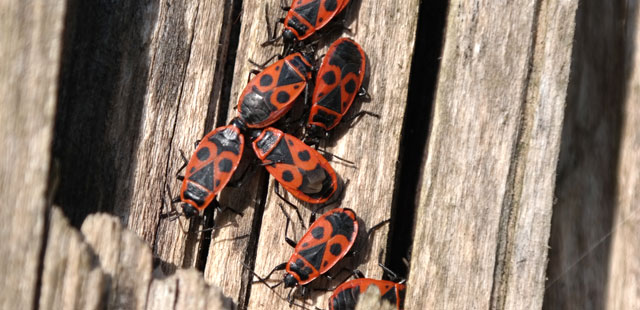 Kooperationen | Erlebnisf&uuml;hrungen durch Natur und Landschaft rund um Marburg | Referenzen