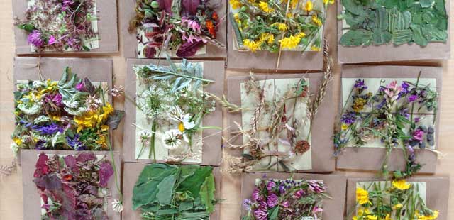 Wiese erleben | Erlebnisf&uuml;hrungen durch Natur und Landschaft rund um Marburg | Referenzen