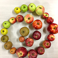 Äppel-Trail | Erlebnisführungen durch Natur und Landschaft rund um Marburg